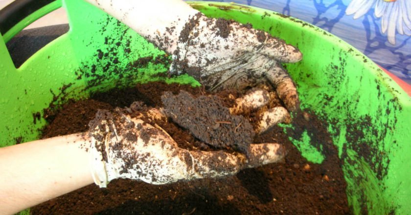 Лучшая структура почвы