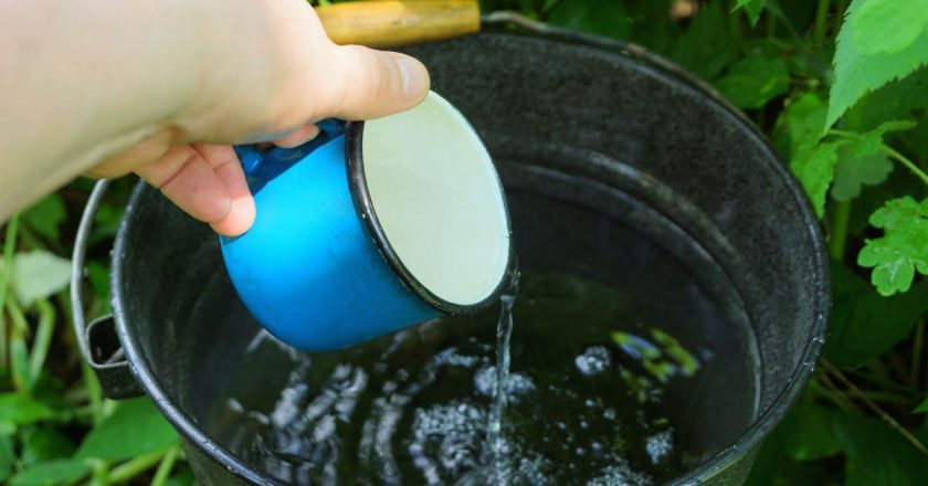 дождевая вода