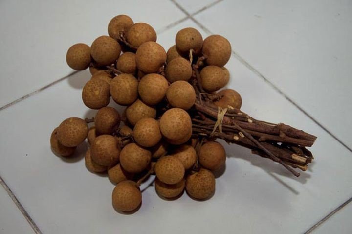 ферония или деревянное яблоко