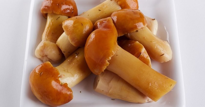 маринованные белые грибы