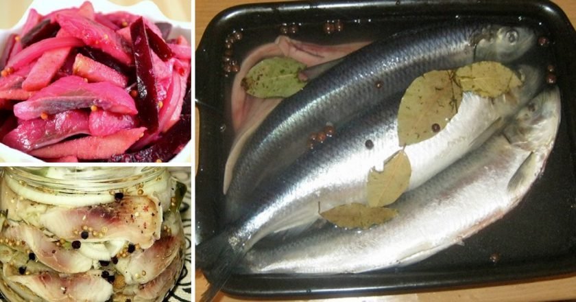 маринады для сельди