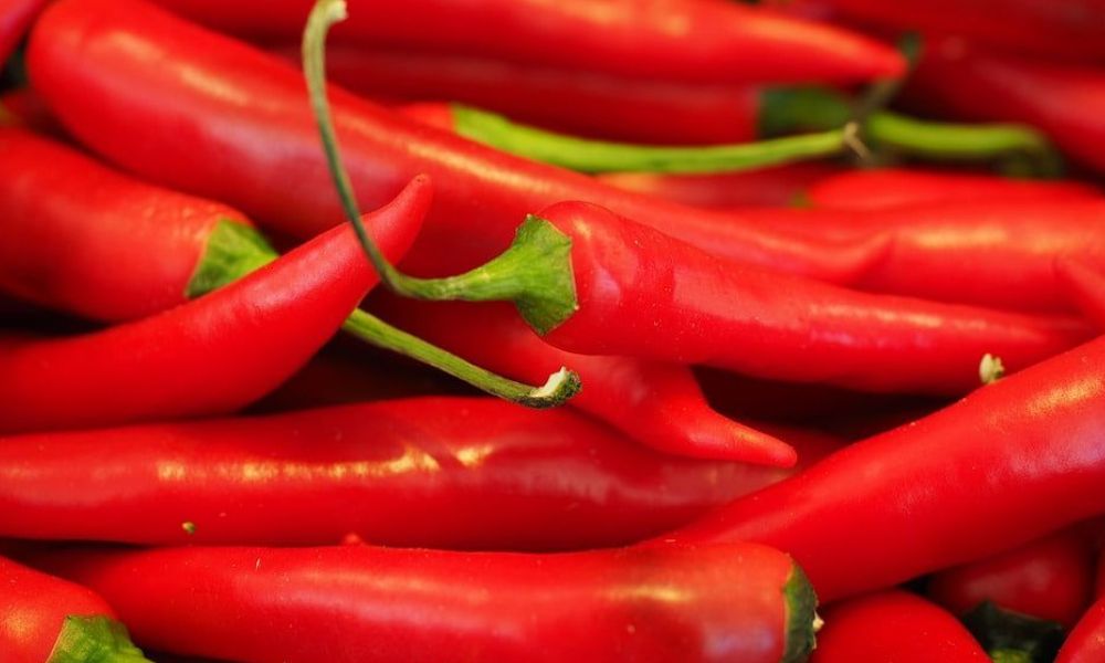 острый перец