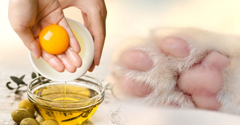 как ухаживать за стопами