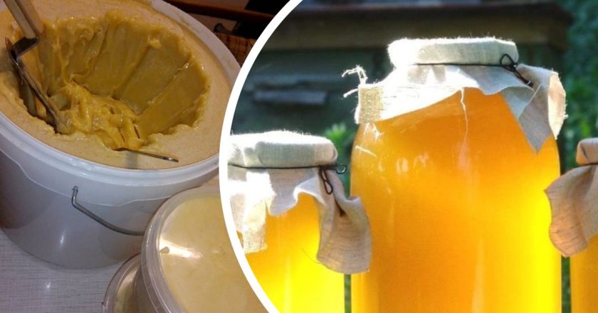 мёд засахарился