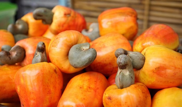 ложные продукты