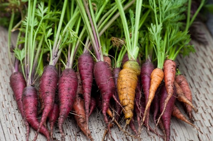 ложные продукты