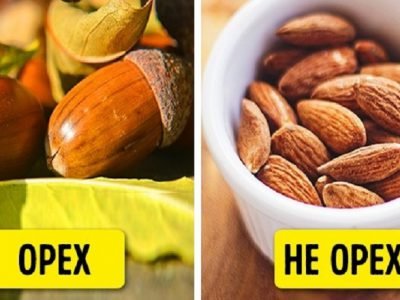 Мифы о продуктах