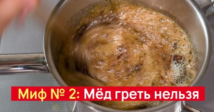 Мифы о здоровой еде Мифы о здоровой еде