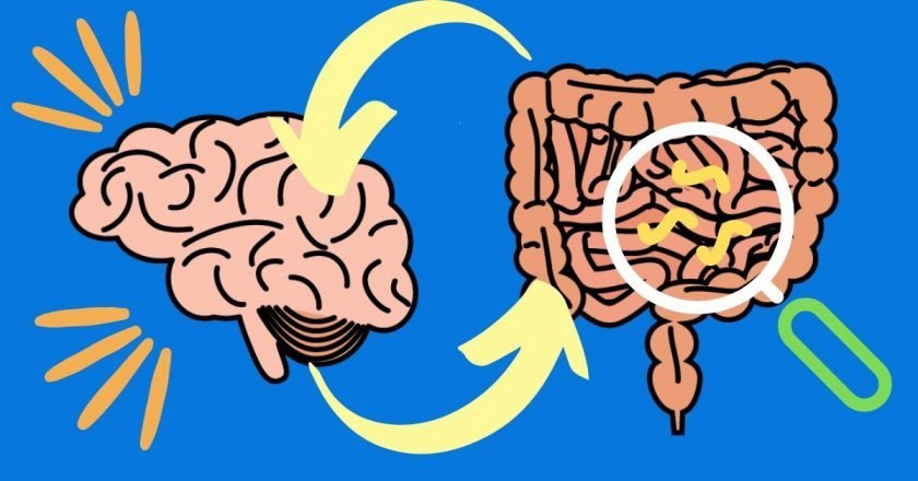 здоровье кишечника