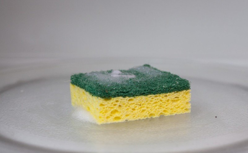 микроволновка для дезинфекции губок