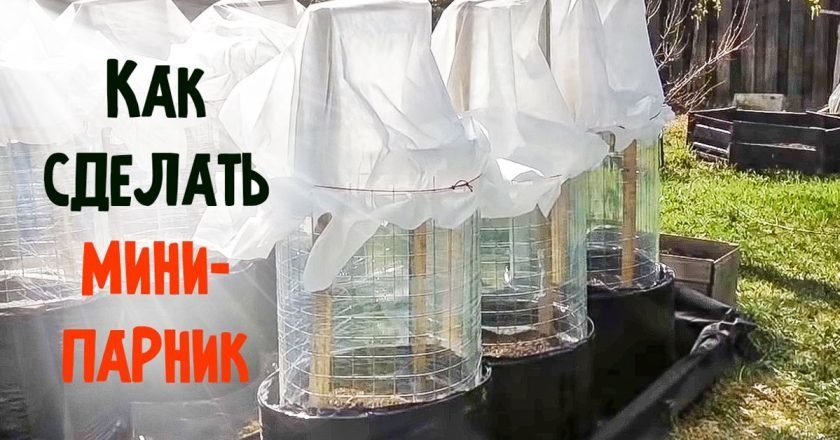 мини-парники своими руками
