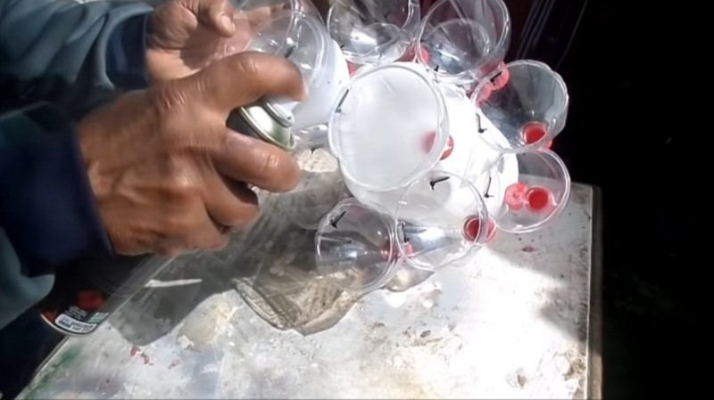 мини-сад на подоконнике