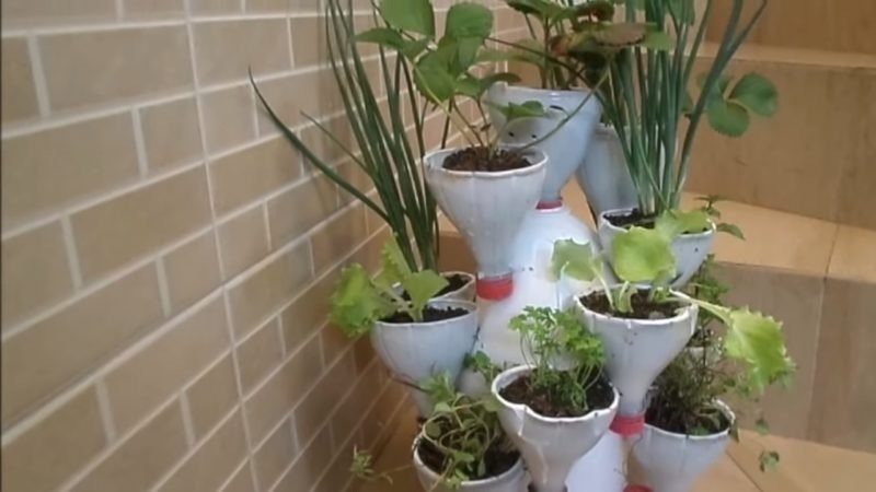 Как сделать мини-сад на подоконнике