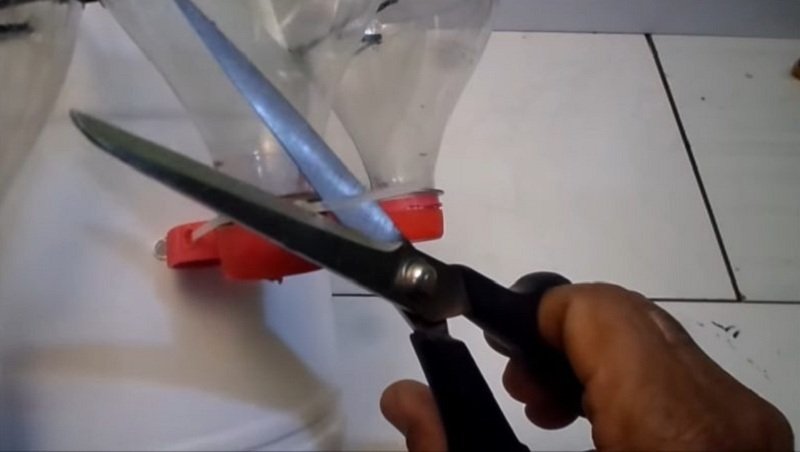 Как сделать мини-сад