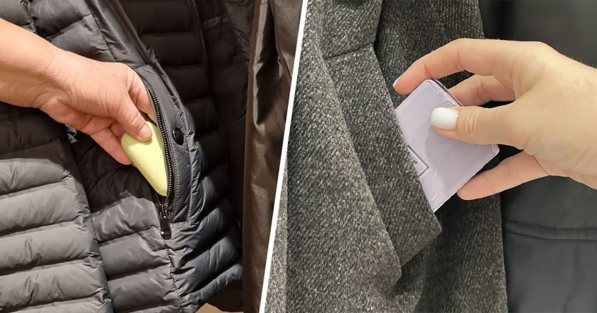 моль в шкафу