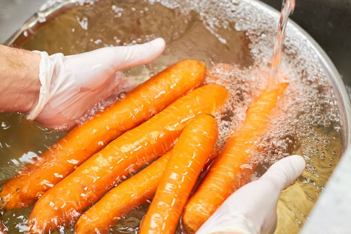  морковь в воде 