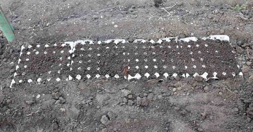 лотки в земле
