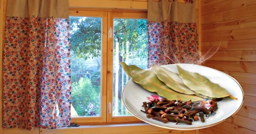 мошки и комары