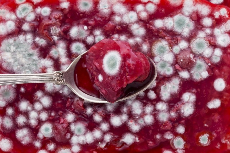 можно ли есть плесень