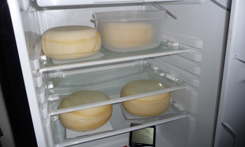 можно ли замораживать сыр сулугуни