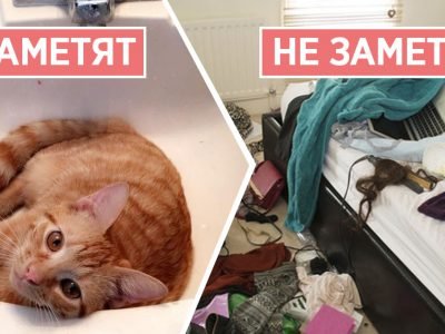 На что обращают внимание гости