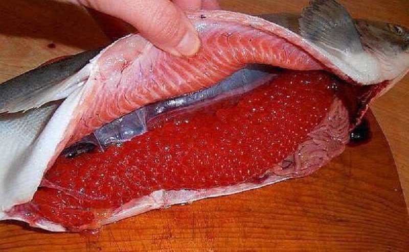 находки в еде