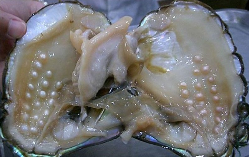 находки в еде