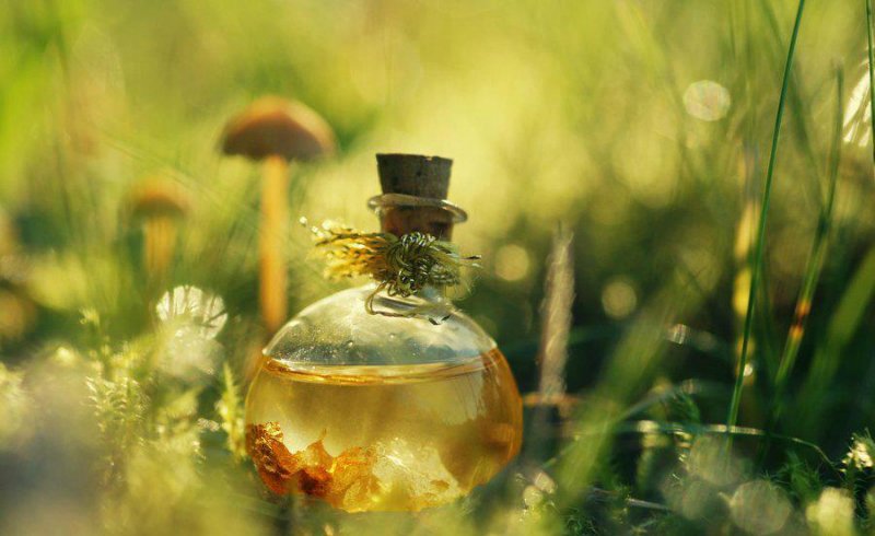 эфирные масла от аллергии