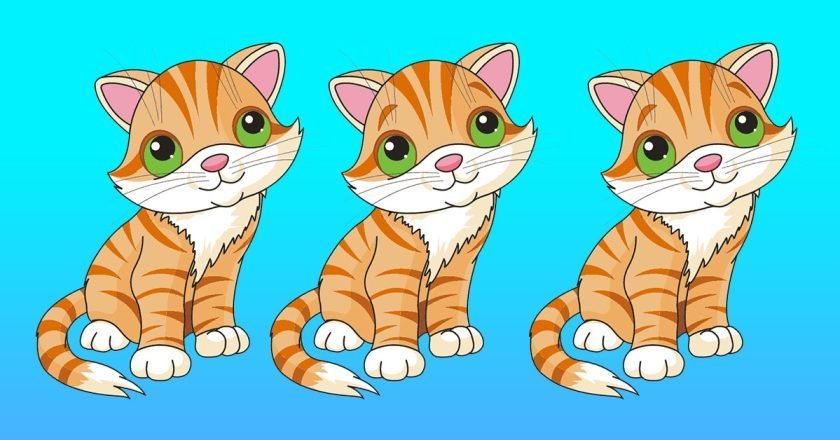 найди лишнее