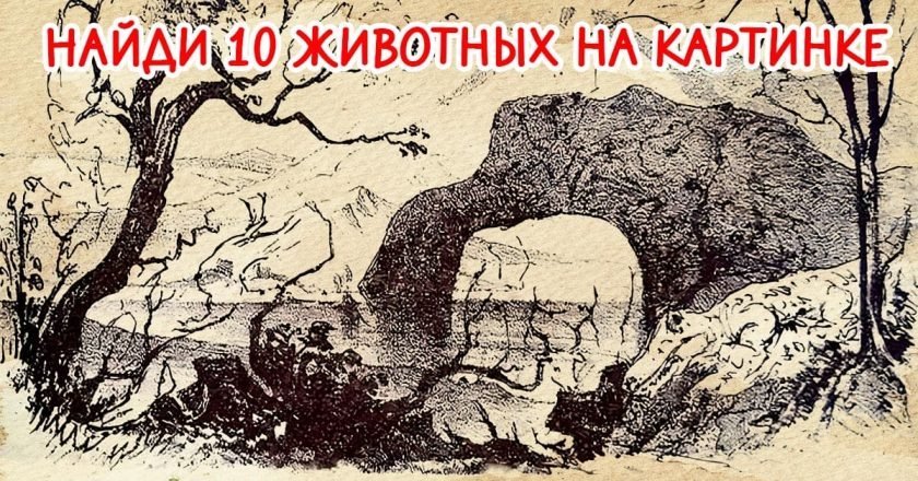 Оптическая иллюзия «Найди животных на картинке» найди животных на картинке
