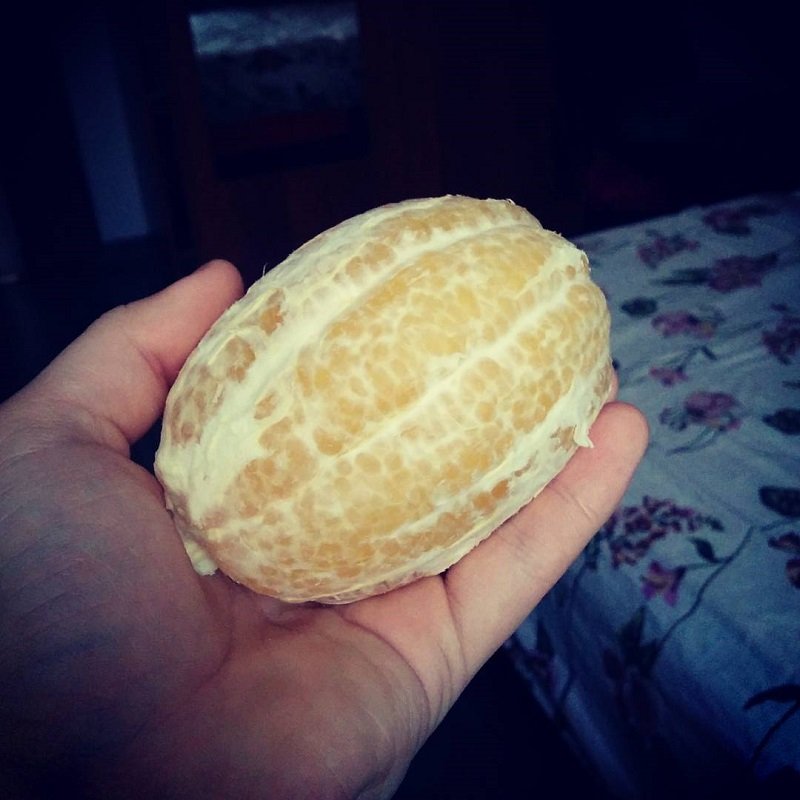 Необычные фото продуктов