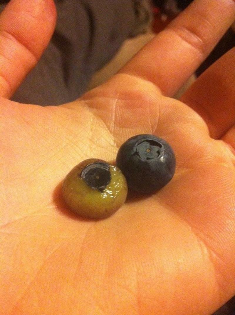 Необычные фото продуктов