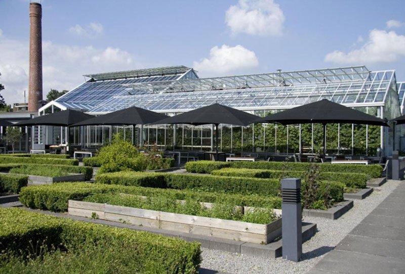 ресторан в теплице