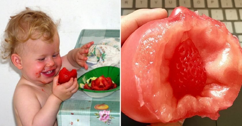 Необычный помидор необычный помидор