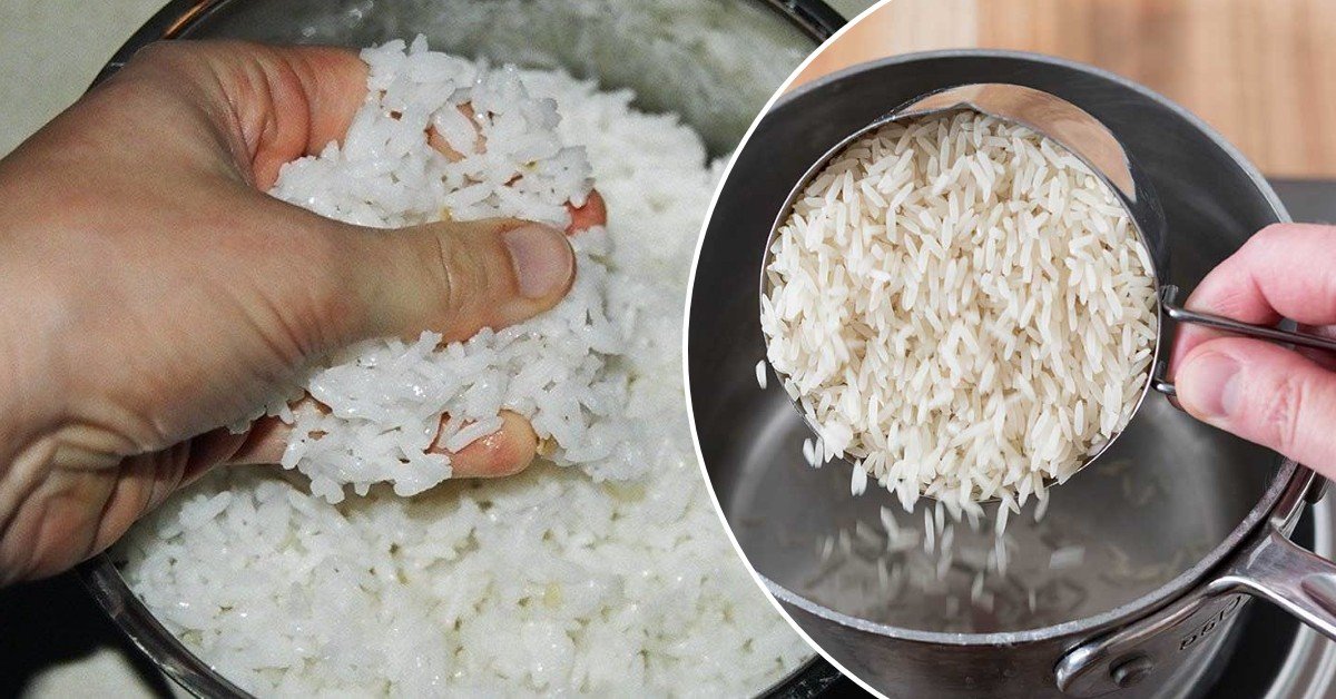 Для чего нужно есть рис. Норма риса на человека. Рис каждый день. Ест рис. С чем есть рис.