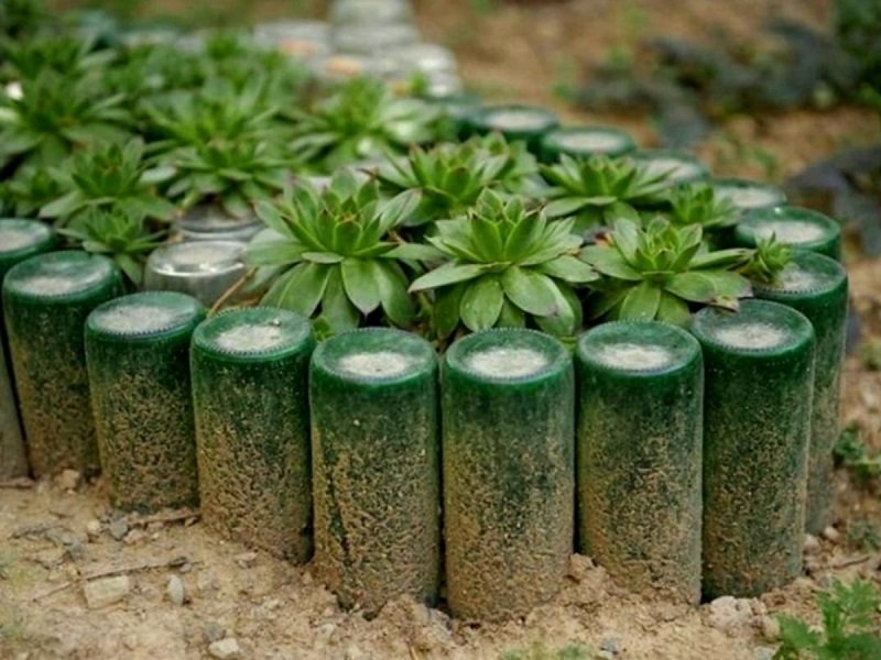 клумба со стеклянными бутылками