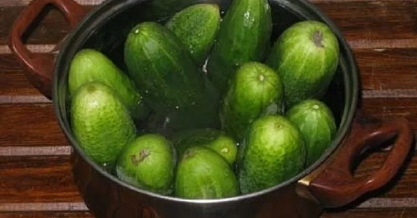 огурцы в кастрюле