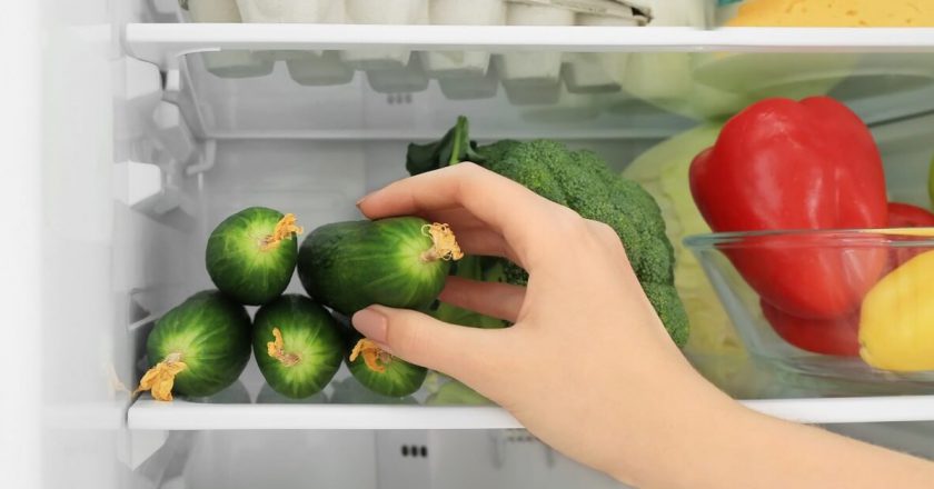 Почему нельзя хранить огурцы в холодильнике