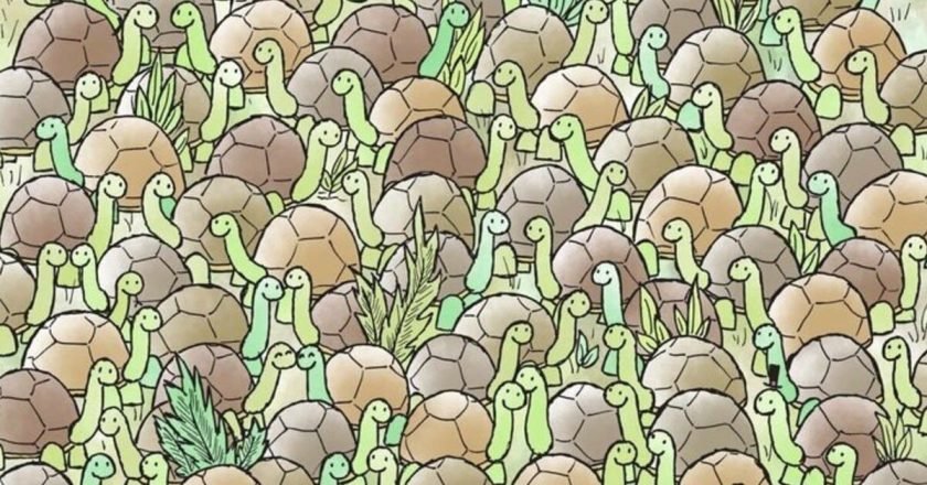 оптическая иллюзия с черепахами