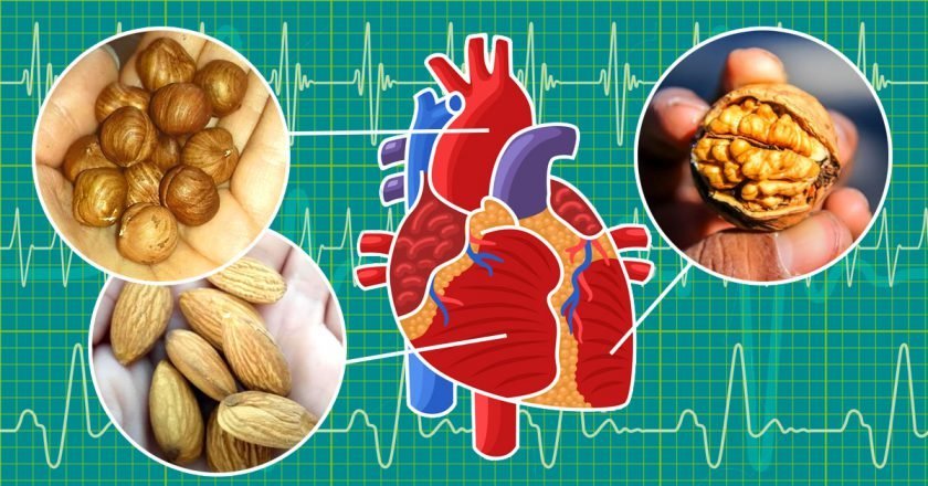 Орехи для сердца профилактика инфаркта