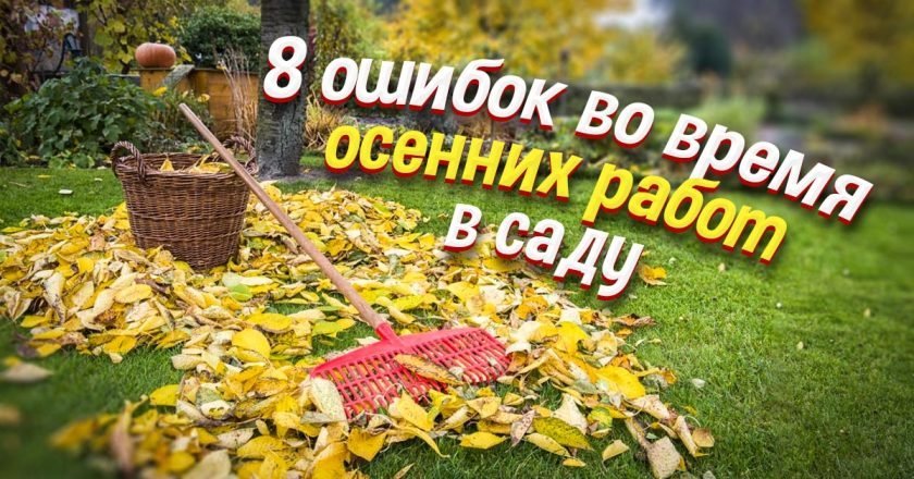 осенние работы