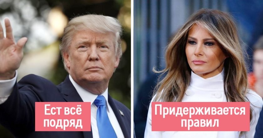 основные правила питания