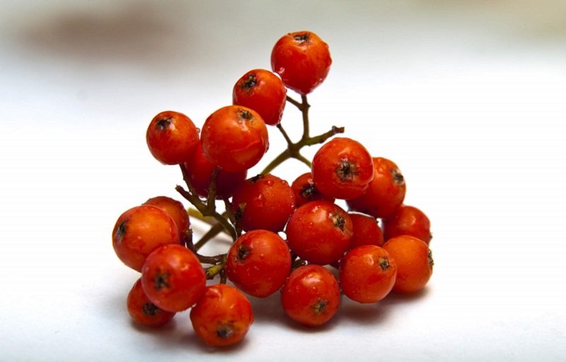 средство от песка в почках