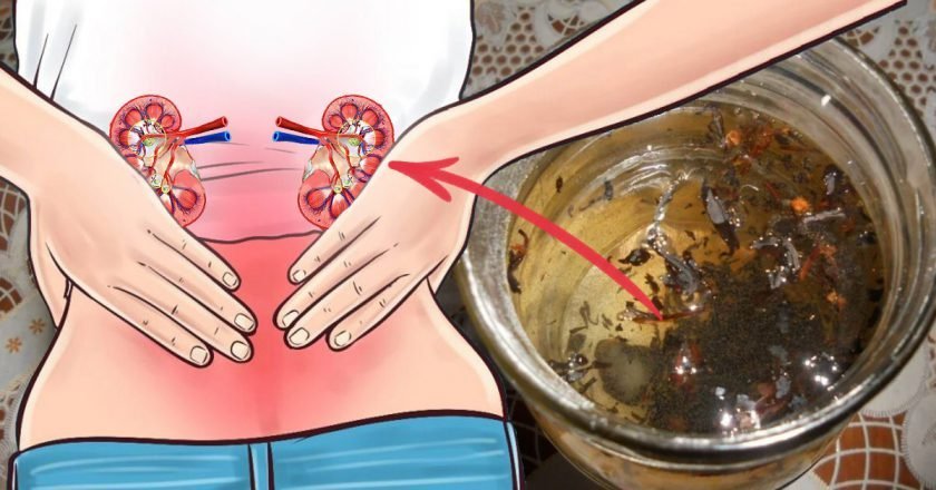 отвары для почек