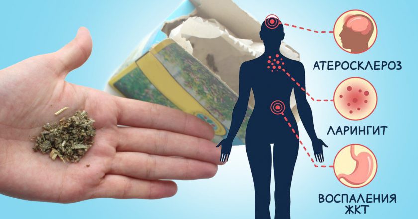 Отвары из шалфея отвары из шалфея