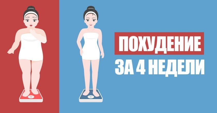 как питатся на диете