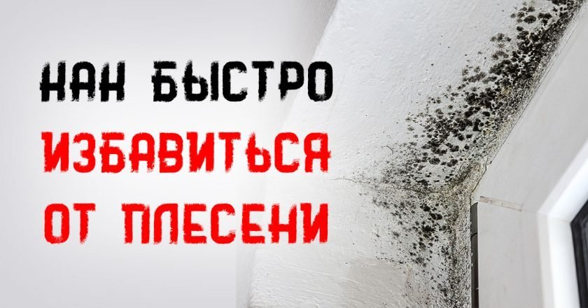 плесень на оконных откосах