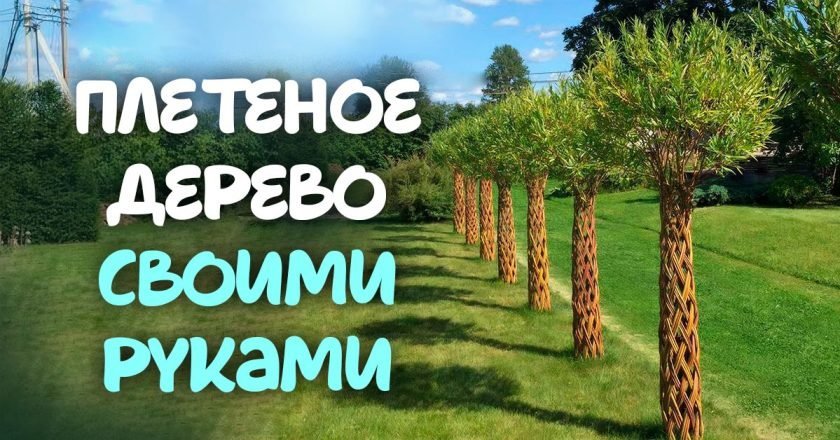 плетеное дерево из ивы