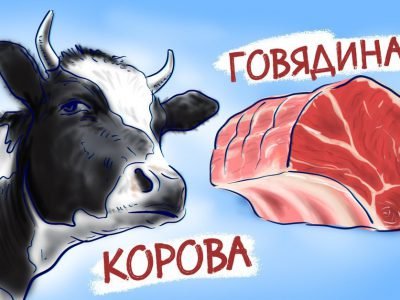 Почему говядина так называется
