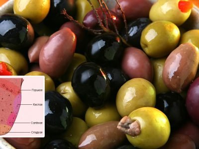Почему меняются вкусы